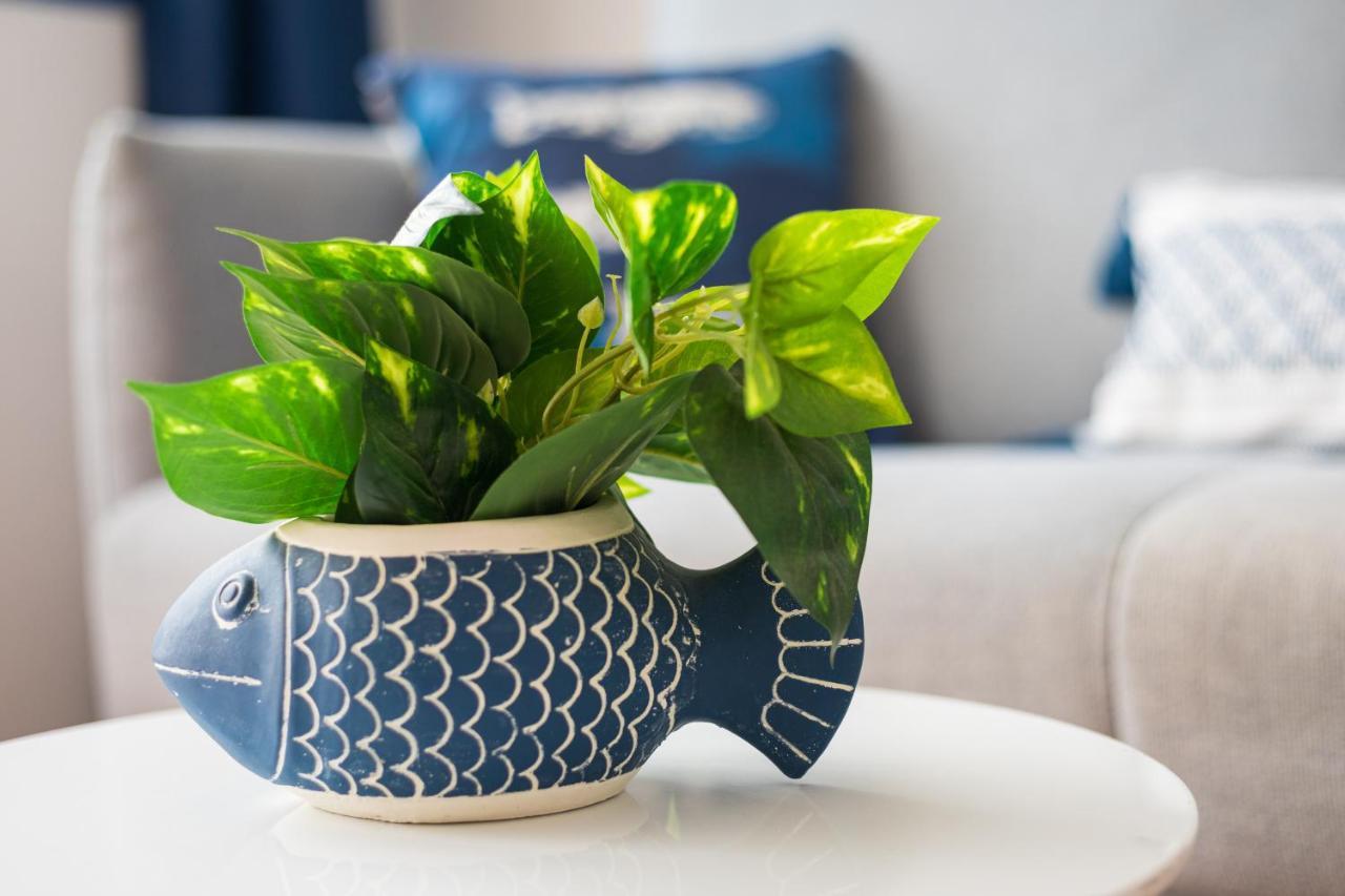 Home2Book Aloha Palm 科斯塔卡玛 外观 照片